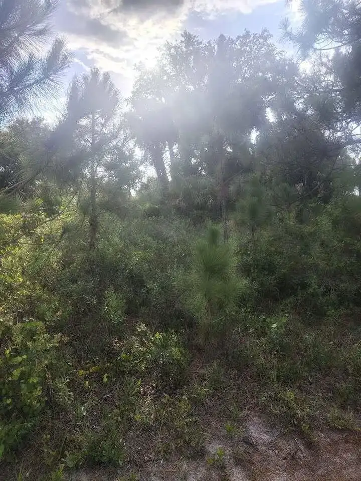 16791 NW 314th Street, Okeechobee FL 34972 photo 5