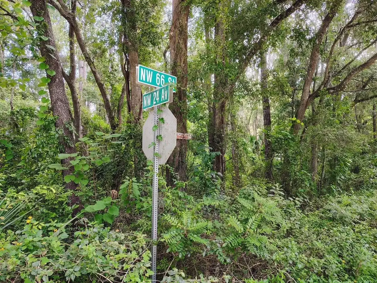 0000 NW 66th Street, FL 34475 photo 2