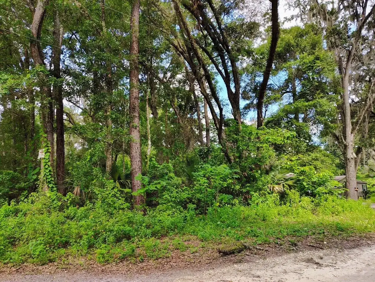 0000 NW 66th Street, FL 34475 photo 5