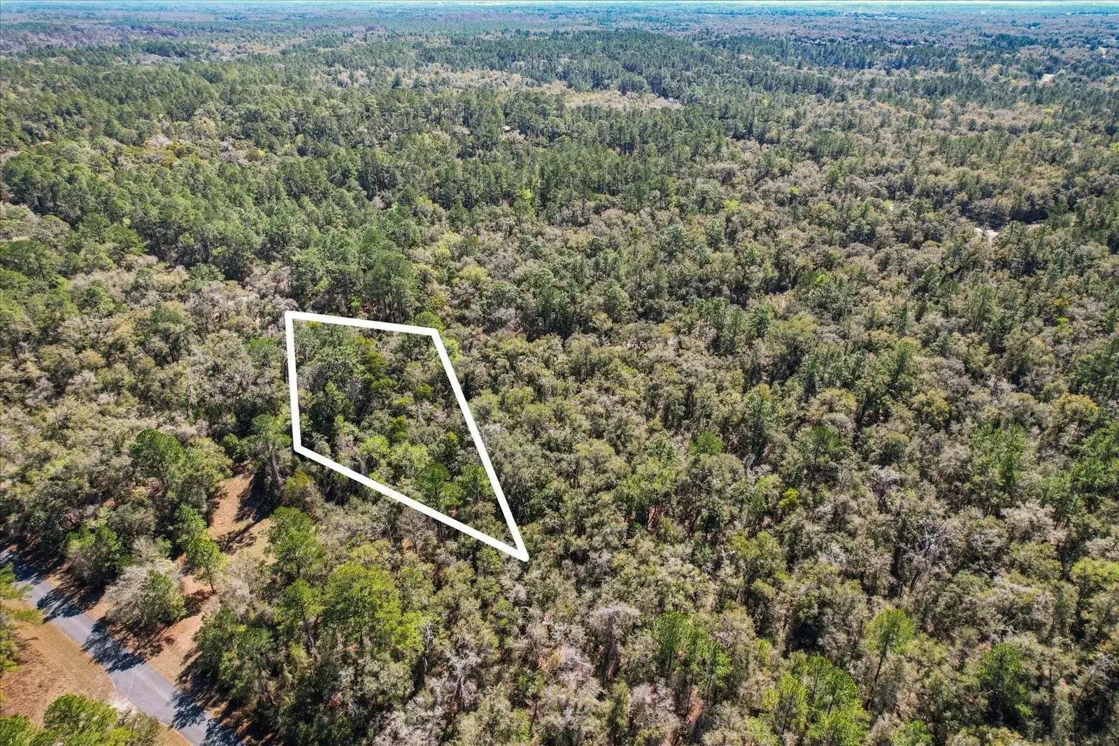 987 E ODIN Drive, FL 34434 photo 4