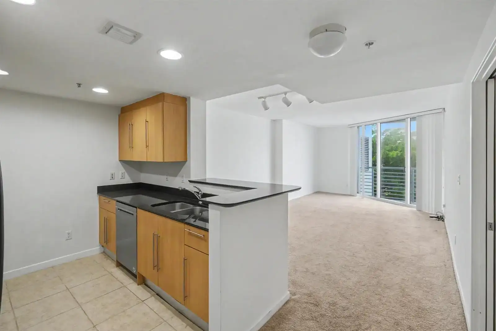 335 S Biscayne Boulevard # 1002, Miami FL 33131
