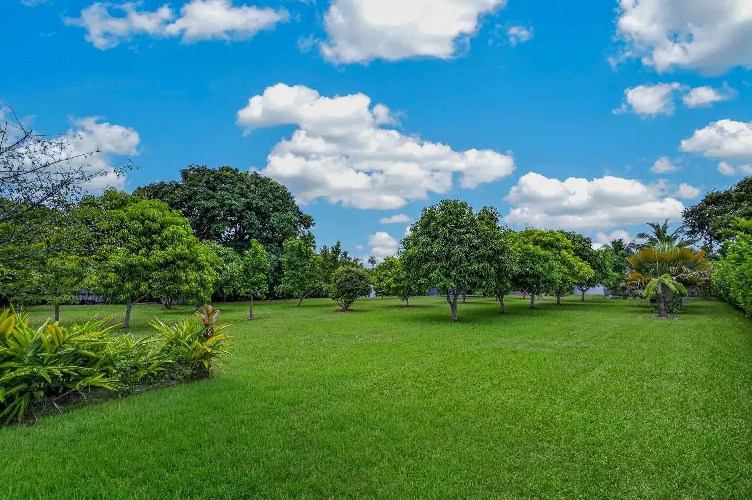 125 NE 146TH Street, Miami FL 33161 photo 3