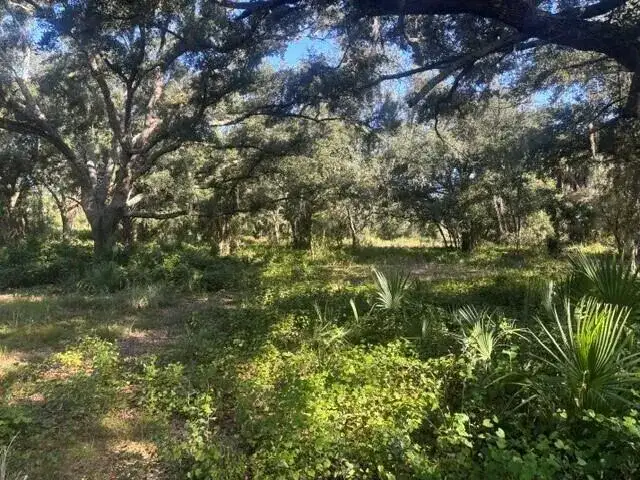 0 NW 296th Street, Okeechobee FL 34972 photo 2