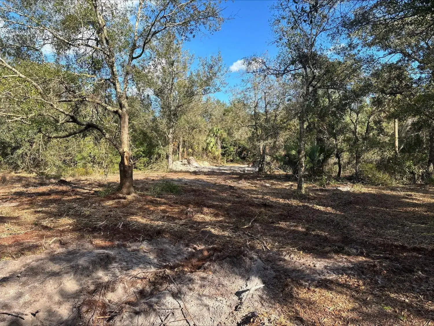 0 NW 296th Street, Okeechobee FL 34972 photo 3