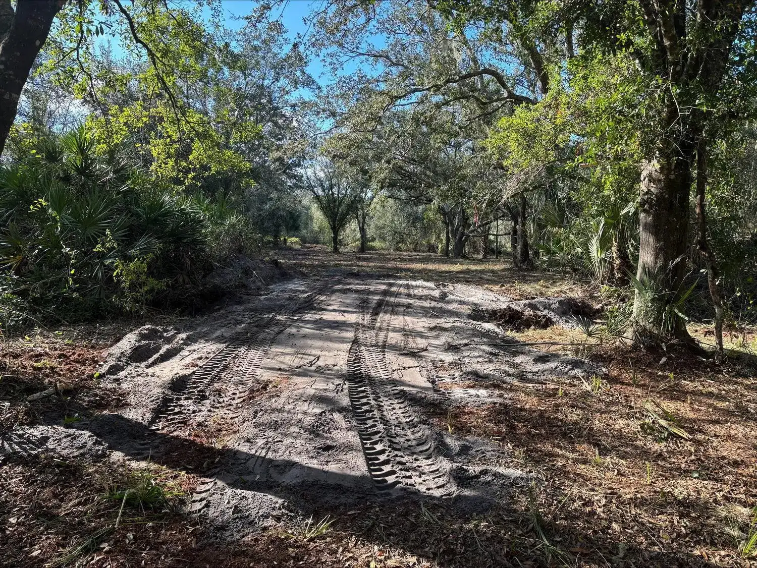 0 NW 296th Street, Okeechobee FL 34972 photo 4