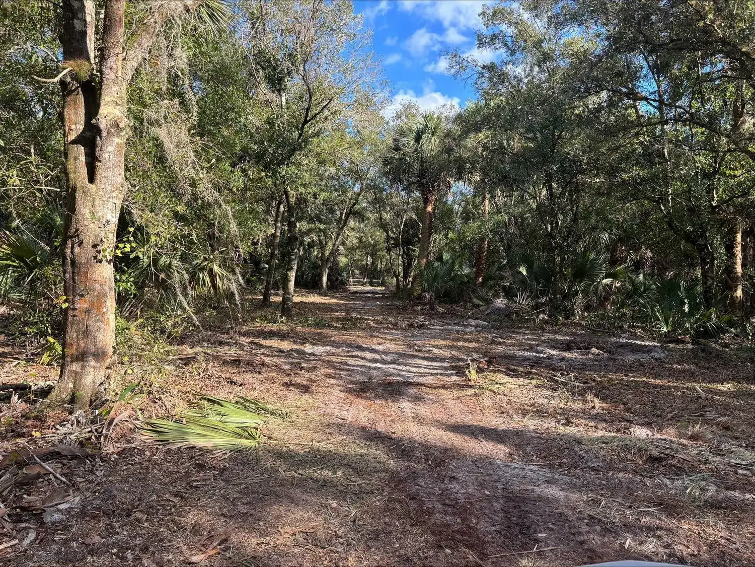 0 NW 296th Street, Okeechobee FL 34972 photo 5