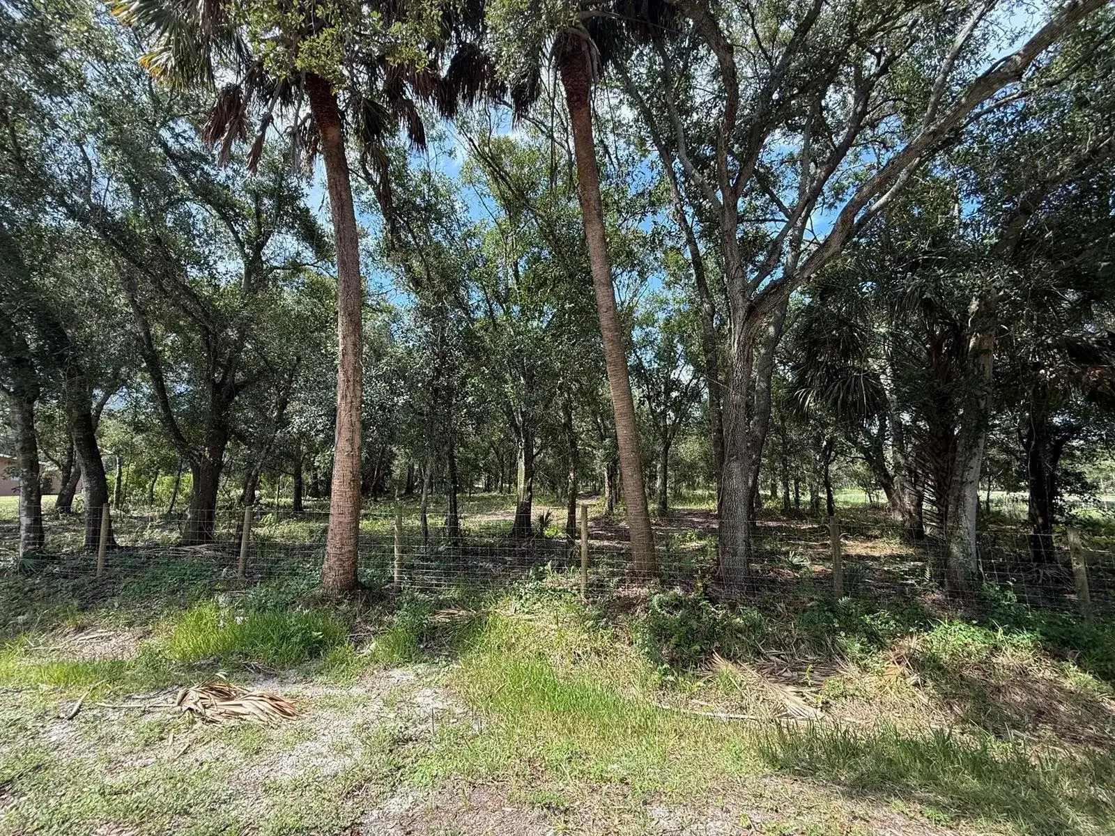 7577 NW 86th Court, Okeechobee FL 34972 photo 5