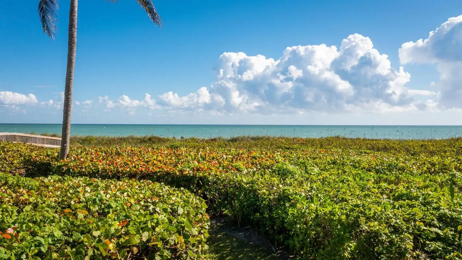 2254 MAGANS OCEAN Walk, Vero Beach FL 32963 photo 2