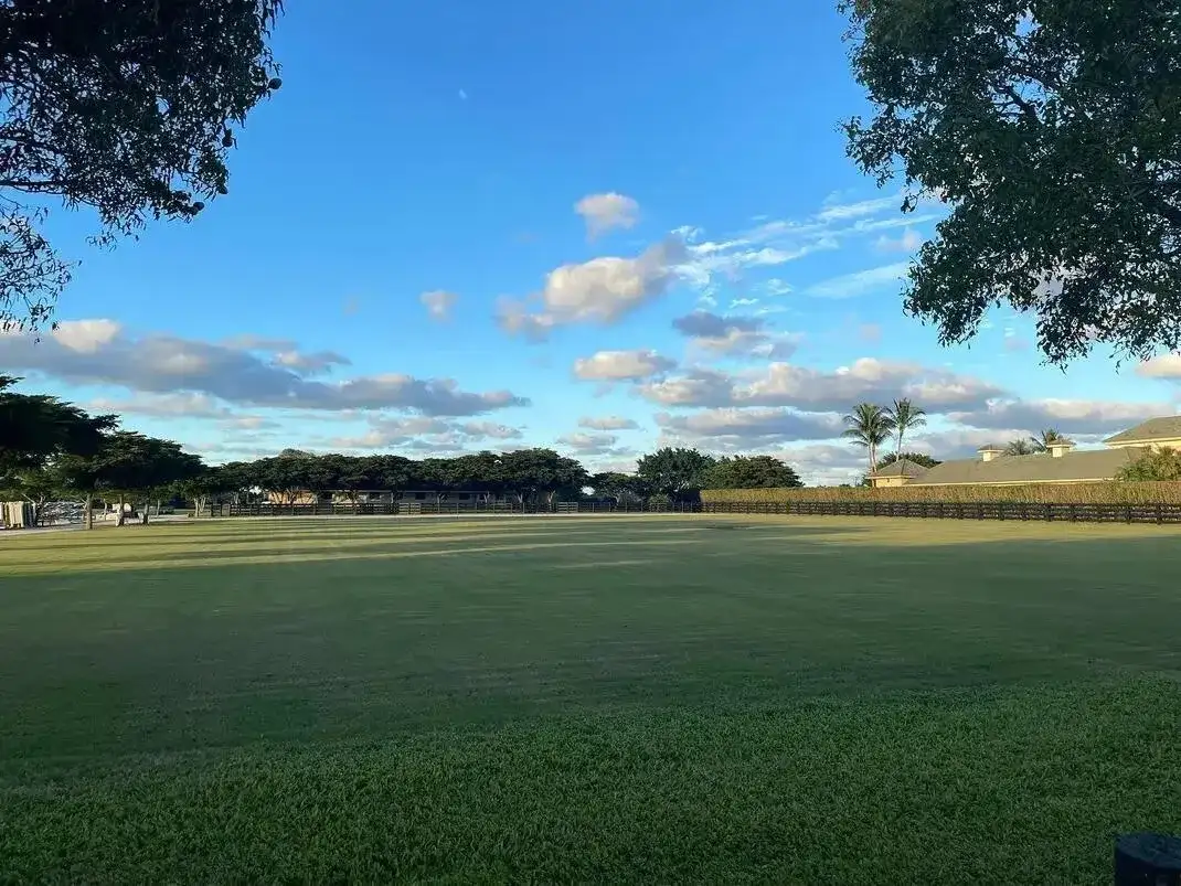 14875 Palm Beach Point Boulevard, Wellington FL 33414 photo 2
