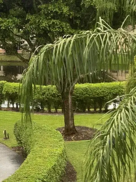 20080 Boca West Drive # 448, Boca Raton FL 33434 photo 2