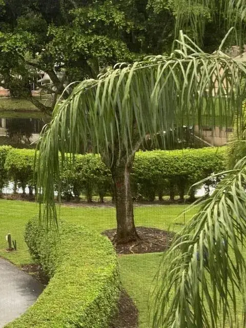 20080 Boca West Drive # 448, Boca Raton FL 33434