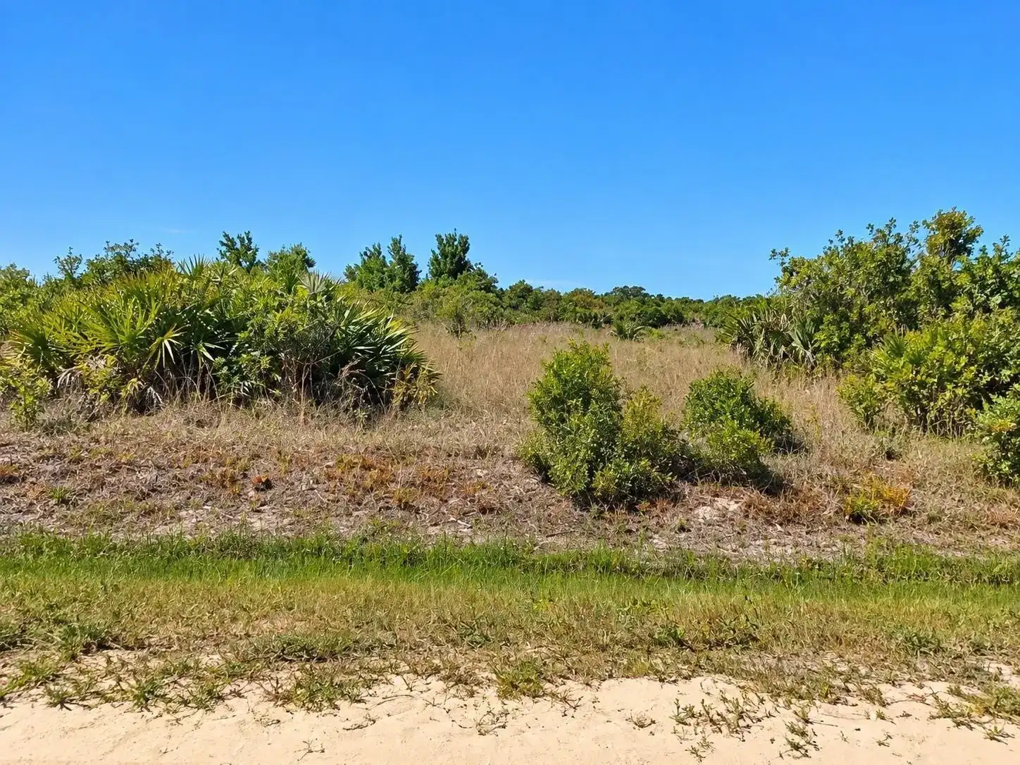 14516 NW 280TH Street, Okeechobee FL 34972