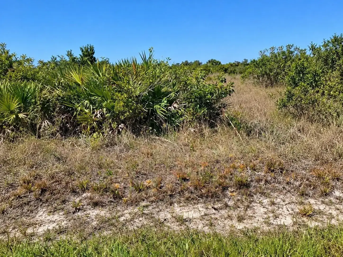 14516 NW 280TH Street, Okeechobee FL 34972 photo 2