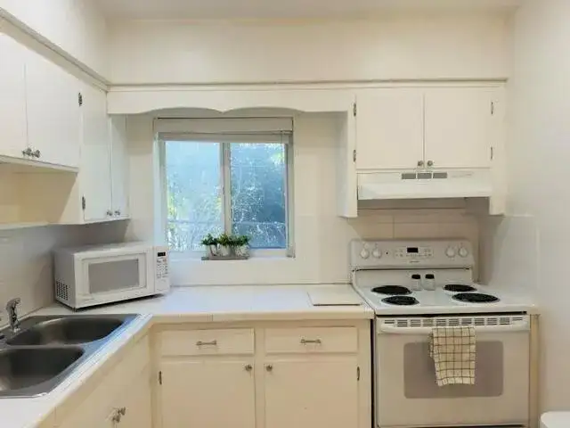 1100 ATLANTIC SHORES Boulevard # 409, Hallandale Beach FL 33009 photo 5