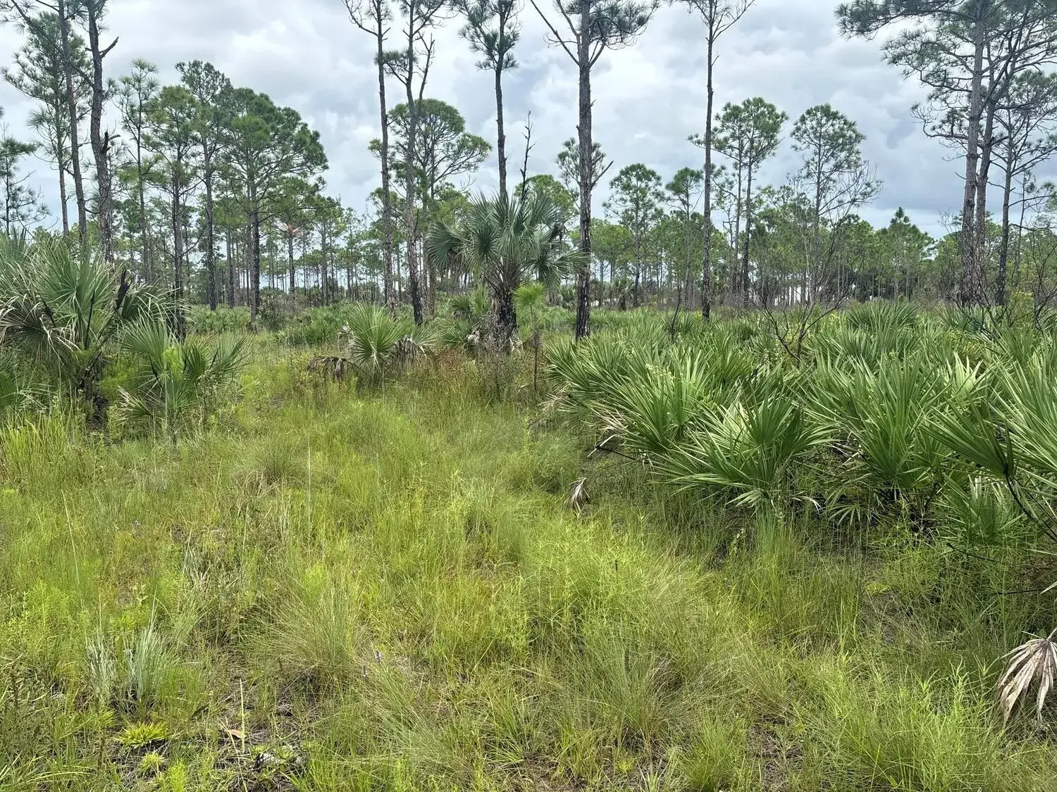 0 grant Road, Grant Valkaria FL 32909