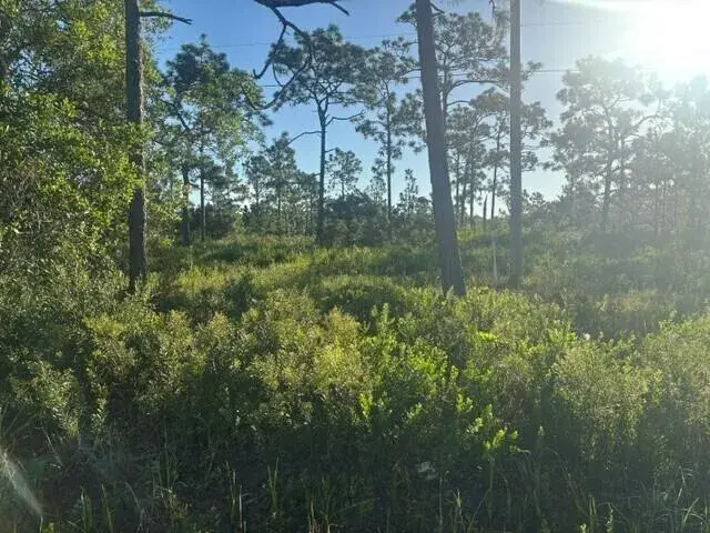 0 grant Road, Grant Valkaria FL 32909