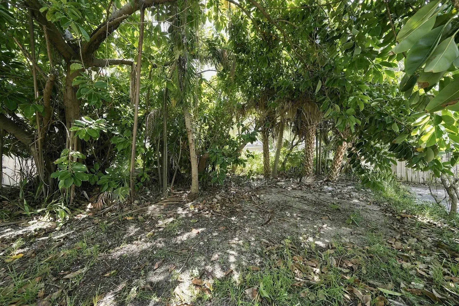 308 BALBOA Street, Hollywood FL 33019