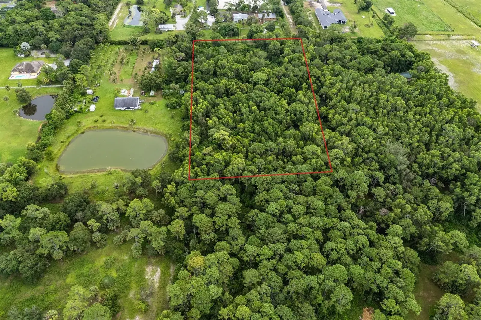 3501 C Road, FL 33470 photo 5