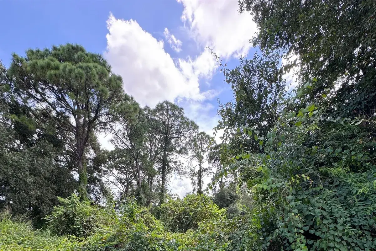 6801 Deland Avenue, Fort Pierce FL 34951