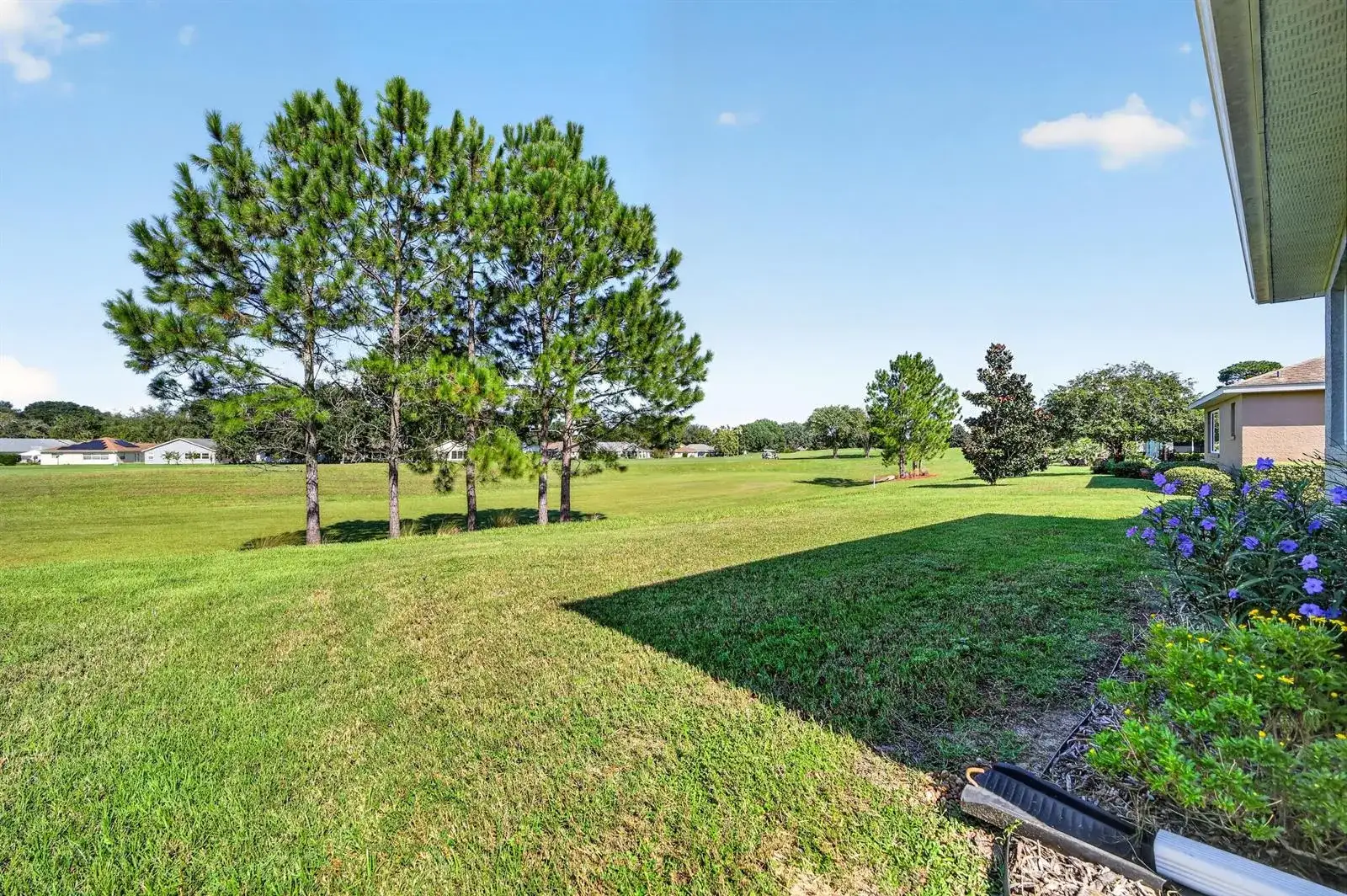 9154 SW 91st Ct Road, Ocala FL 34481 photo 2