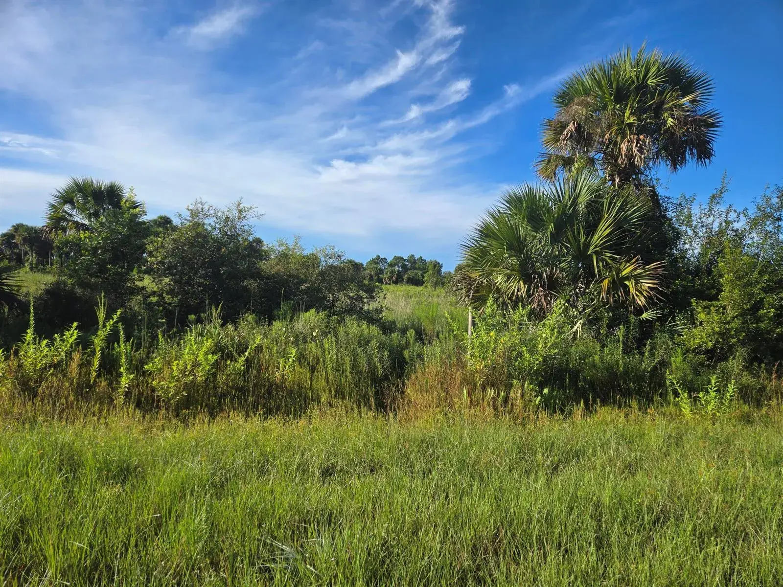 14614 NW 274th Street, Okeechobee FL 34972