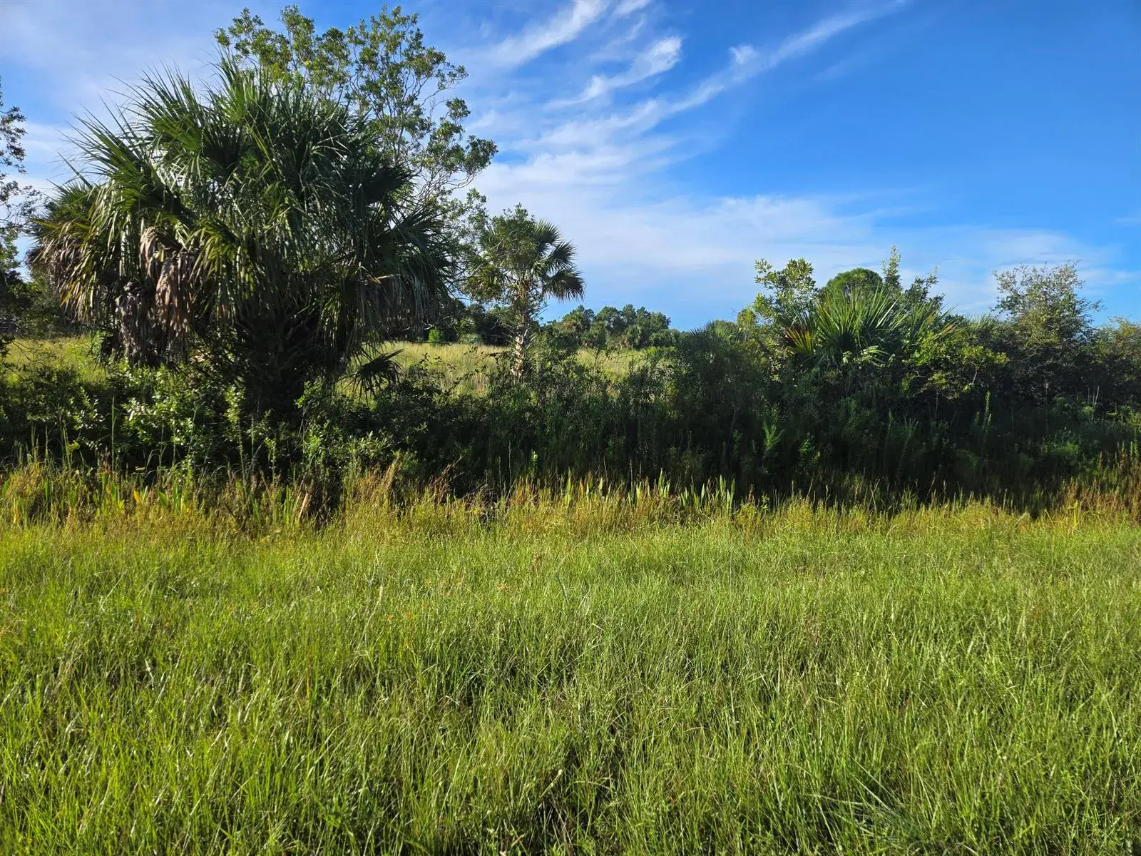 14614 NW 274th Street, Okeechobee FL 34972