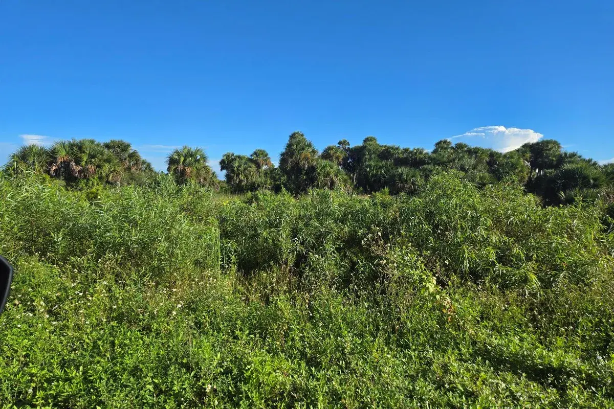 14614 NW 274th Street, Okeechobee FL 34972