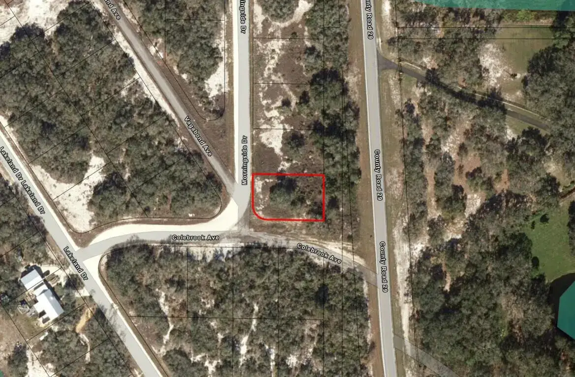 788 Morningside Drive, Lake Placid FL 33852