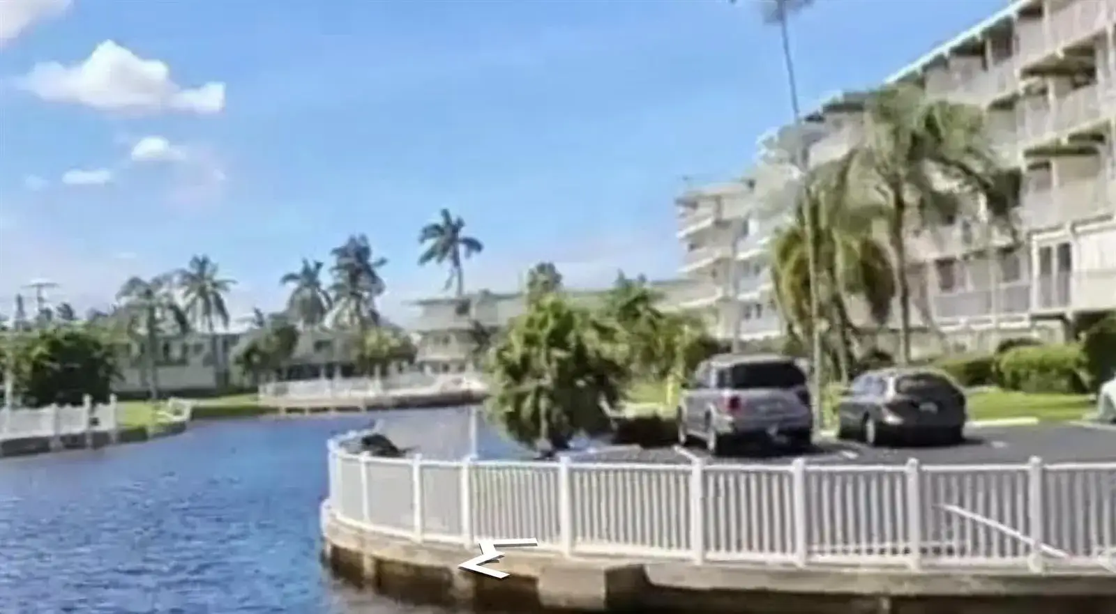 1536 SE 15TH Court # 210, Deerfield Beach FL 33441