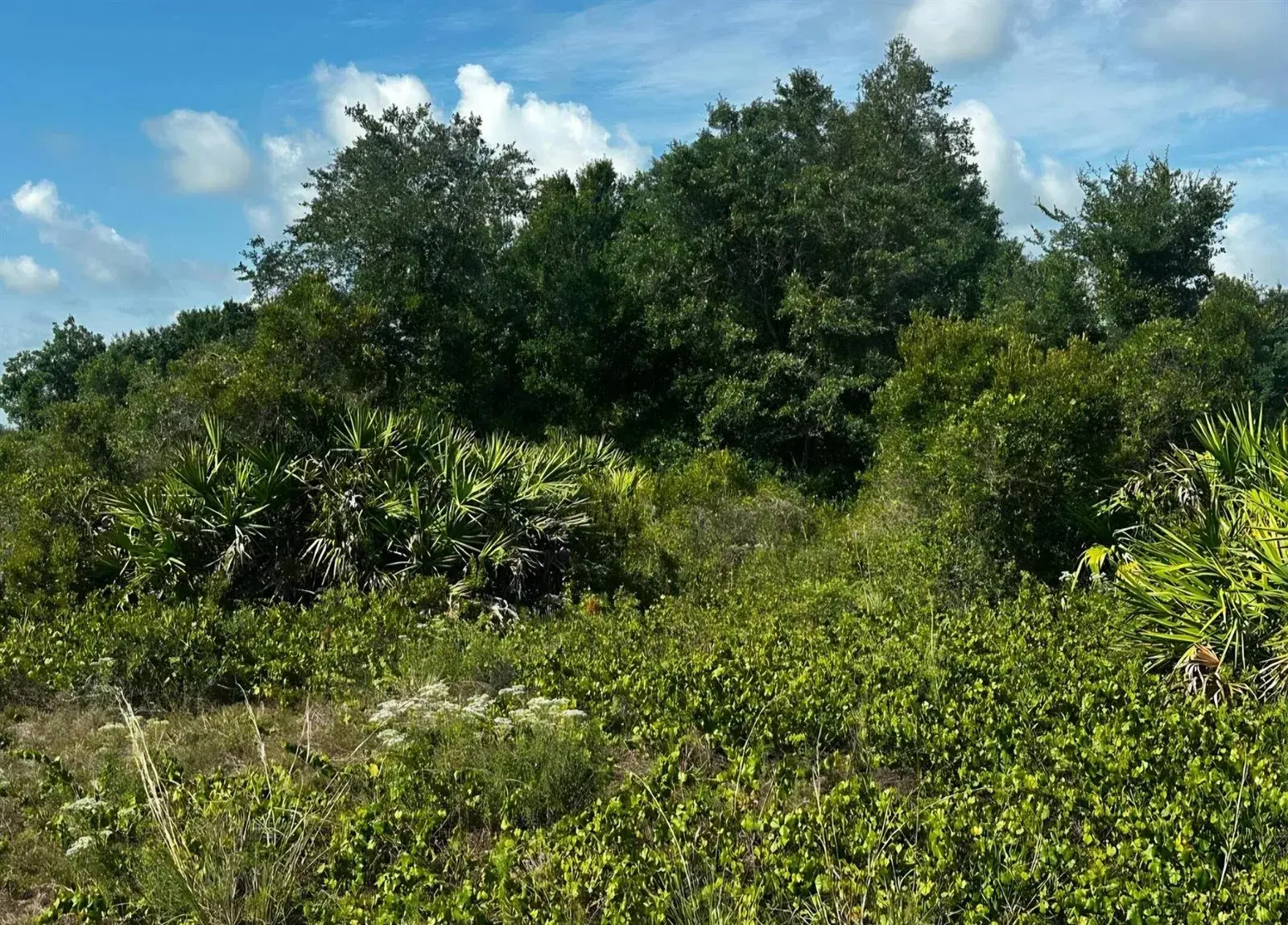 16326 NW 314TH Street, Okeechobee FL 34972