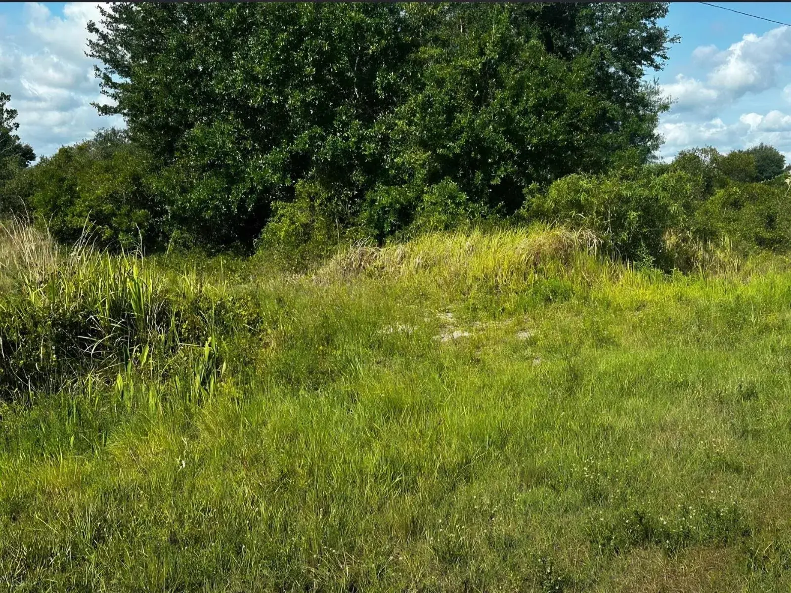 16326 NW 314TH Street, Okeechobee FL 34972