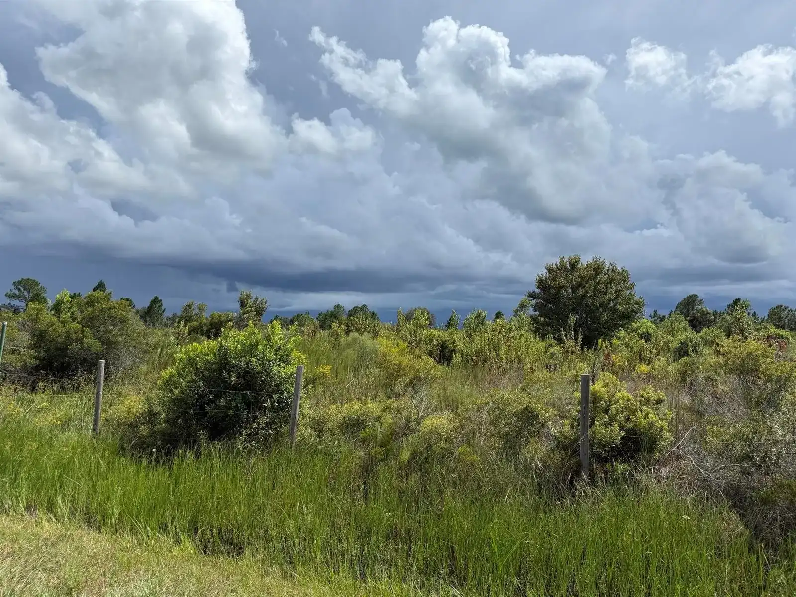18076 NW 276TH Street, Okeechobee FL 34972