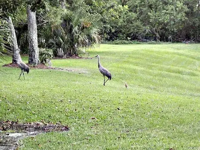 1604 SE Green Acres Circle # T103, Port St. Lucie FL 34952 photo 4