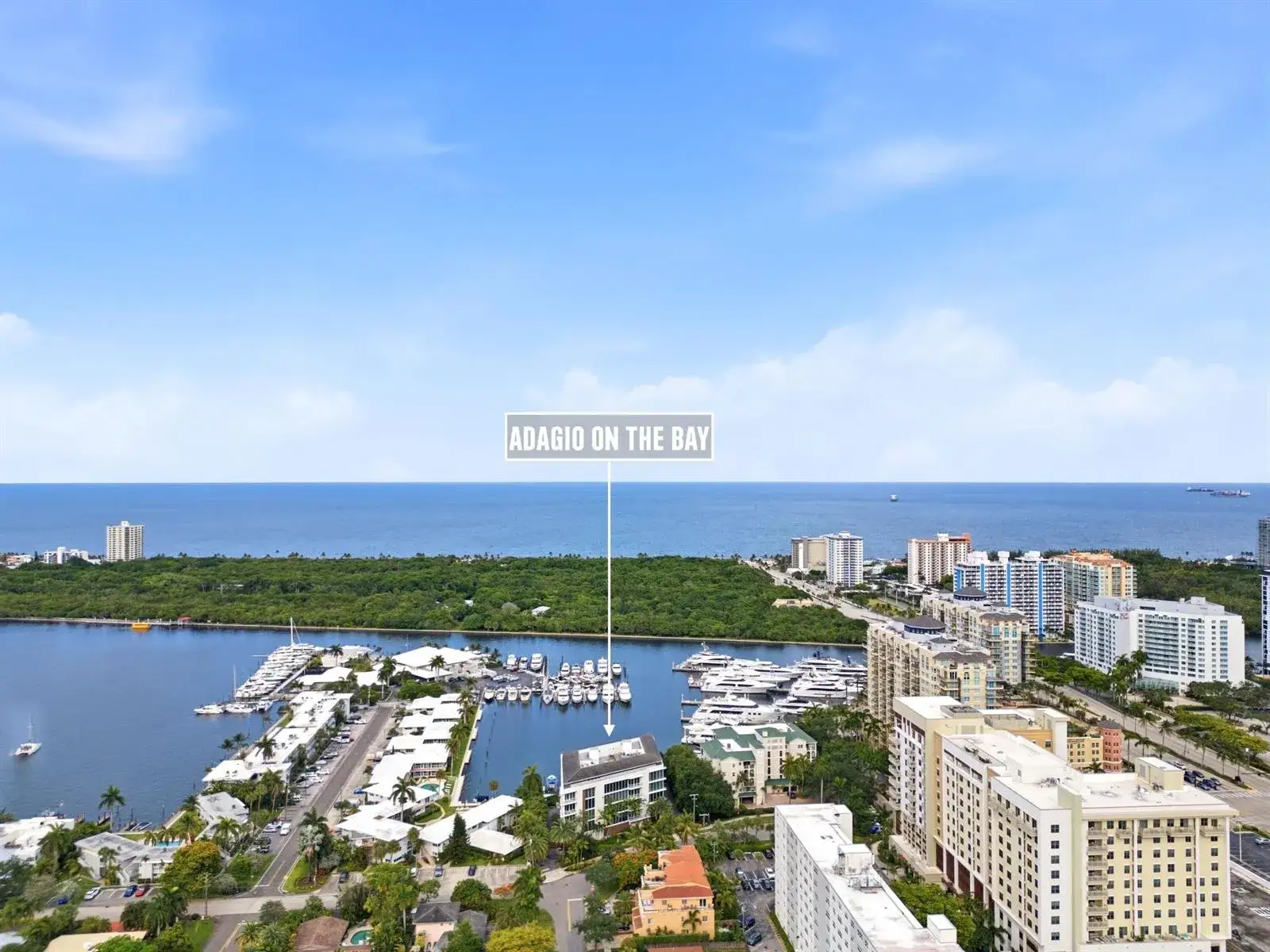 1110 Seminole Drive # 503, Fort Lauderdale FL 33304