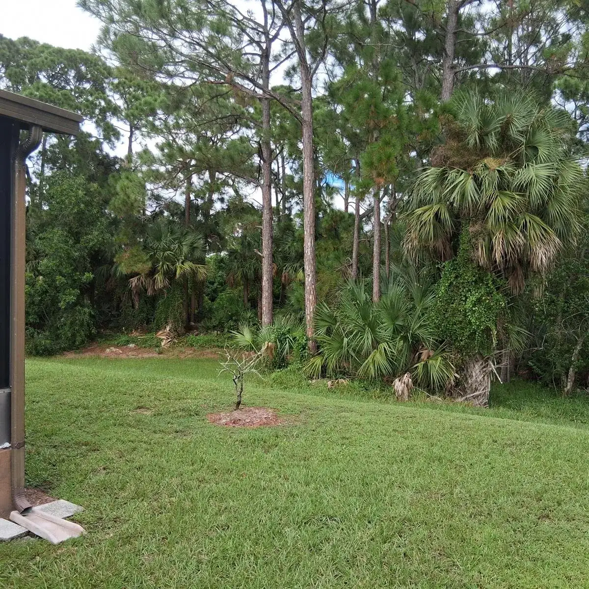 2629 Caper Court, Port St. Lucie FL 34952 photo 5