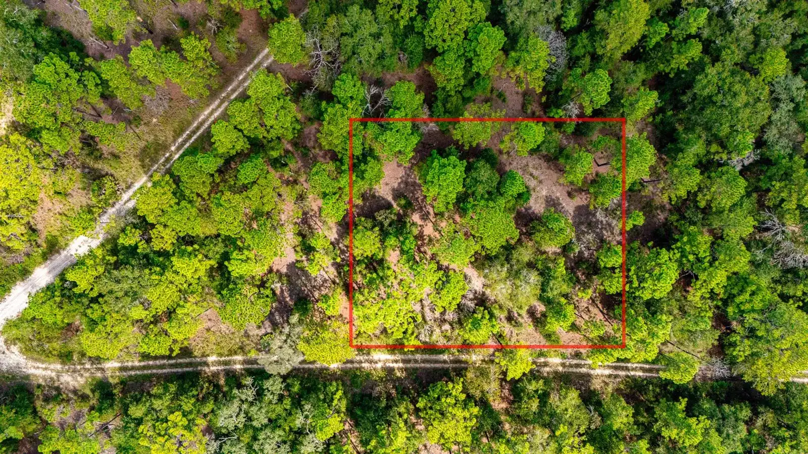 15515 SW 25th Place, Ocala FL 34481