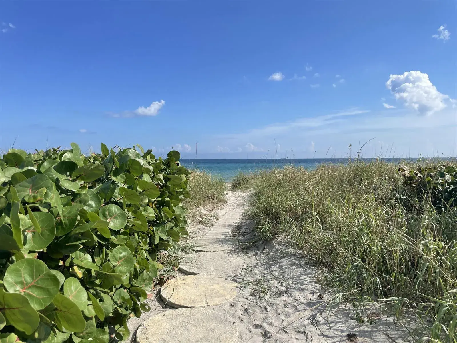 2175 S Ocean Boulevard # 203, Delray Beach FL 33483