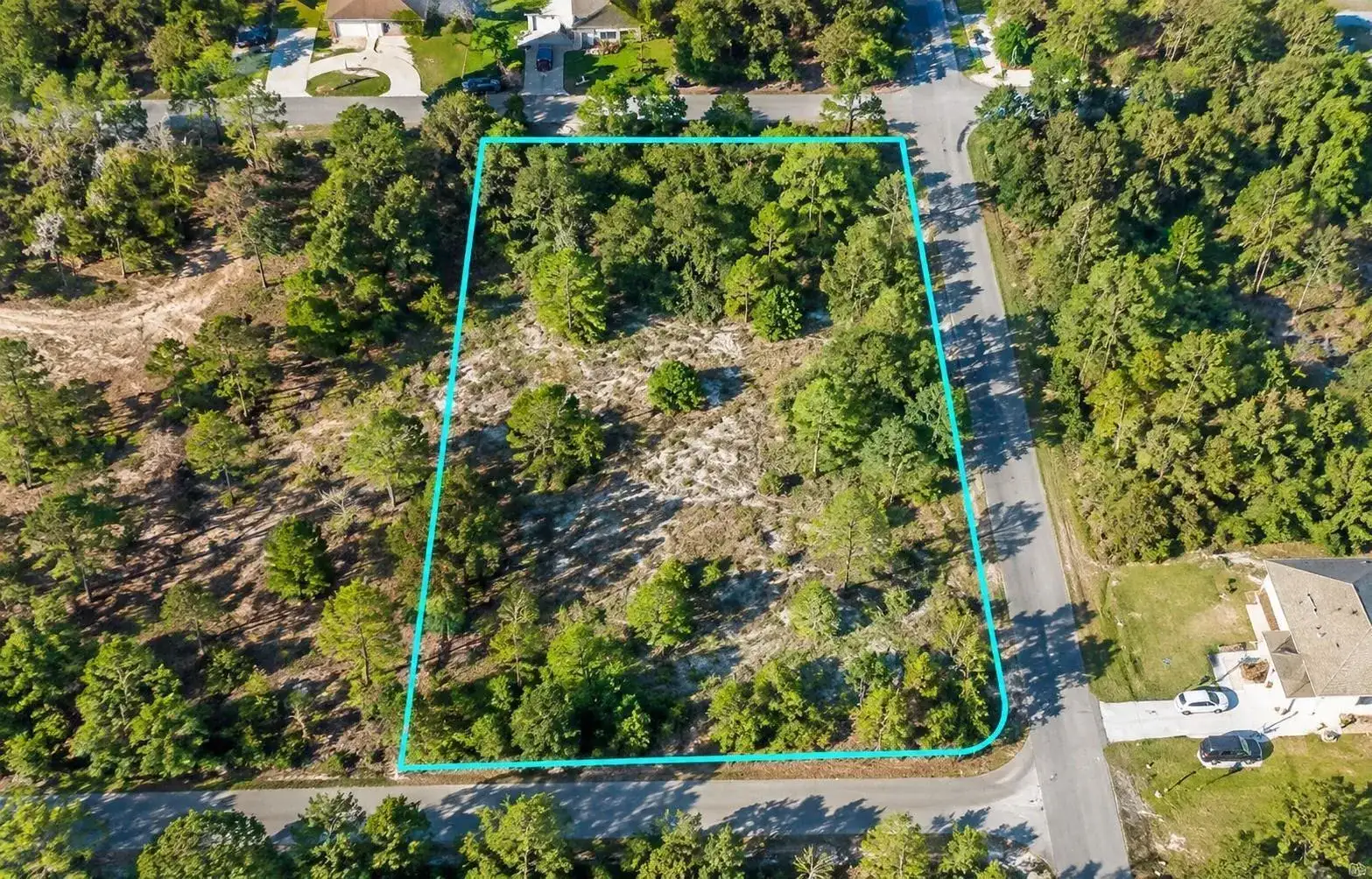 12194 Labrador Duck Road, FL 34614 photo 2