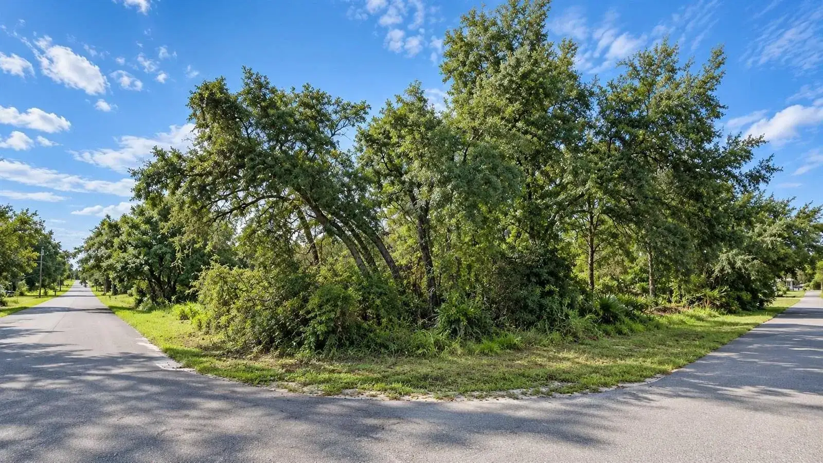 12194 Labrador Duck Road, FL 34614 photo 3