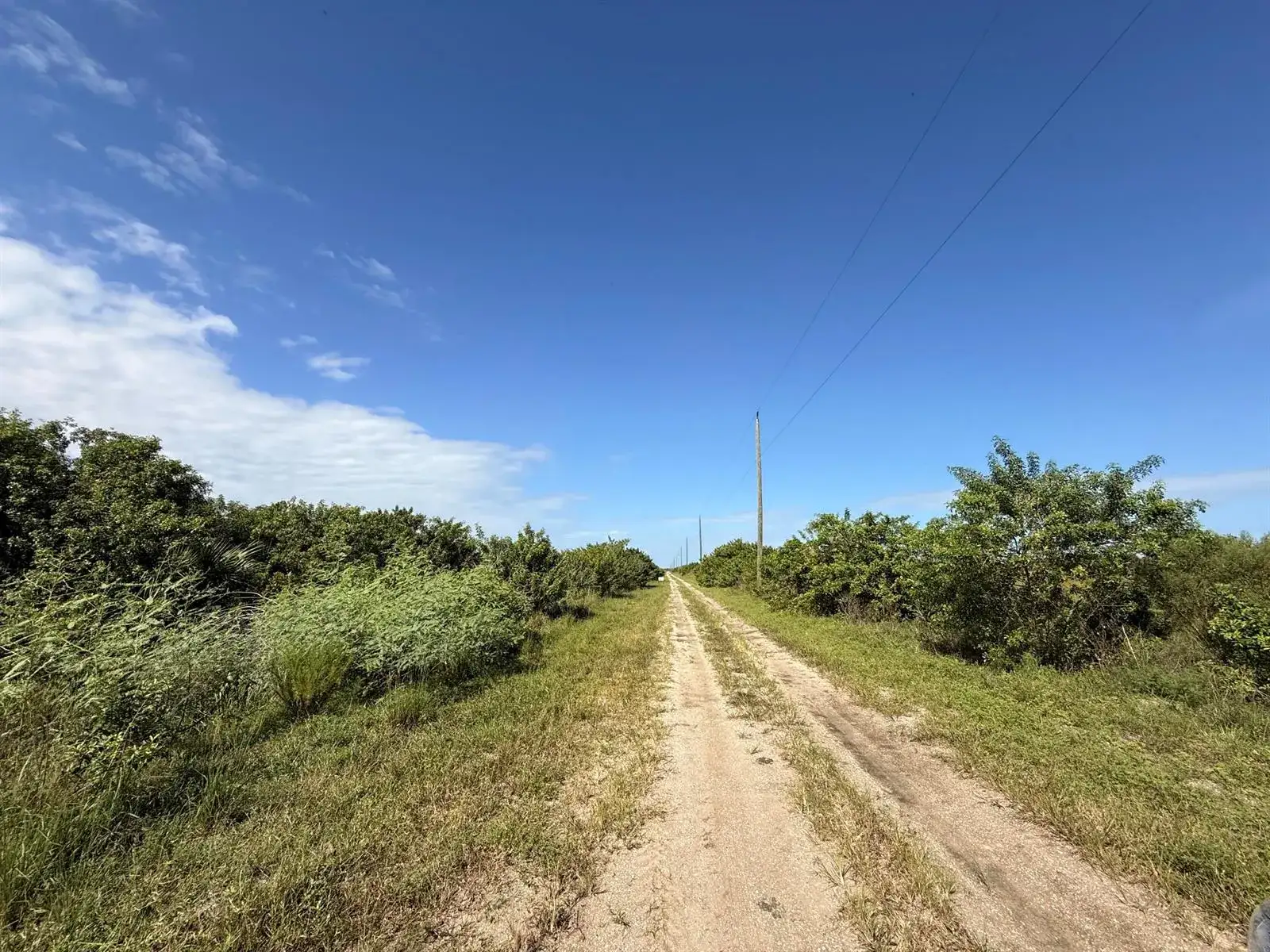 2348 Cabbage Drive, FL photo 2