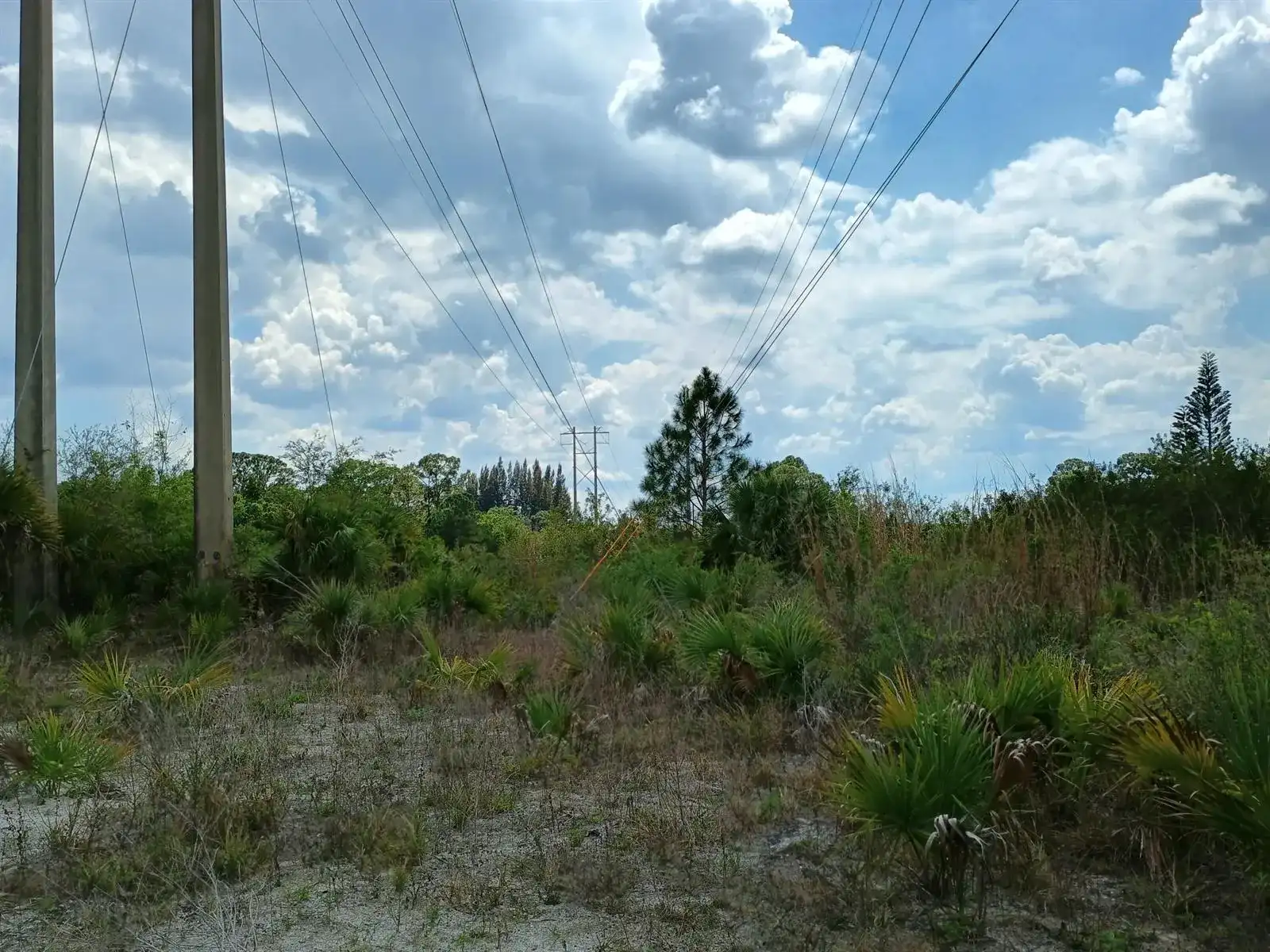0 SW citrus Street SW, Palm City FL 34990 photo 2