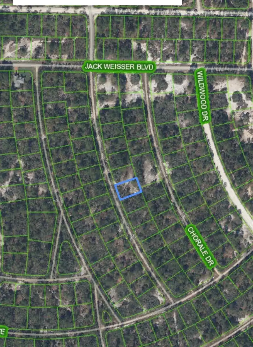 375 CONCERT Drive, Lake Placid FL 33852 photo 2