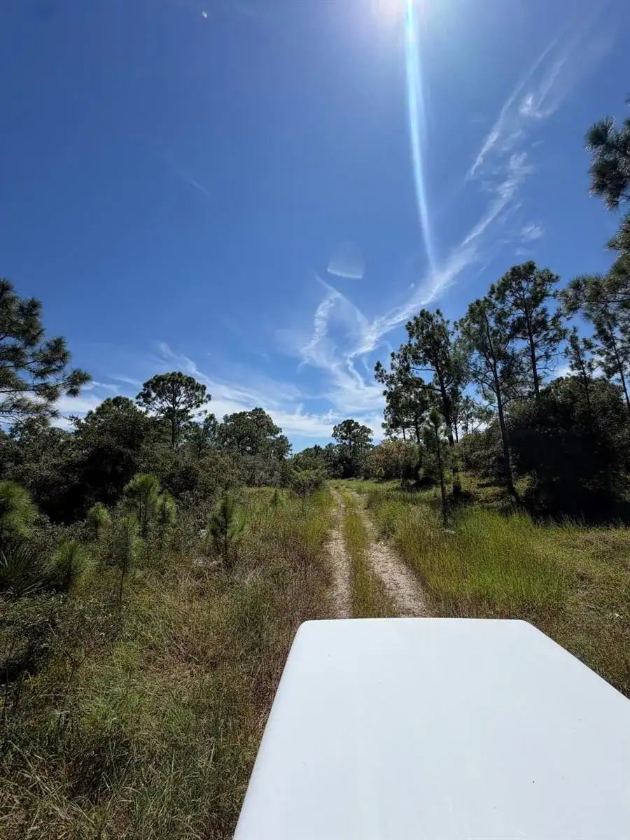 375 CONCERT Drive, Lake Placid FL 33852 photo 4