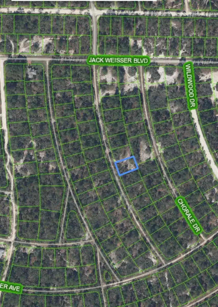375 CONCERT Drive, Lake Placid FL 33852 photo 5