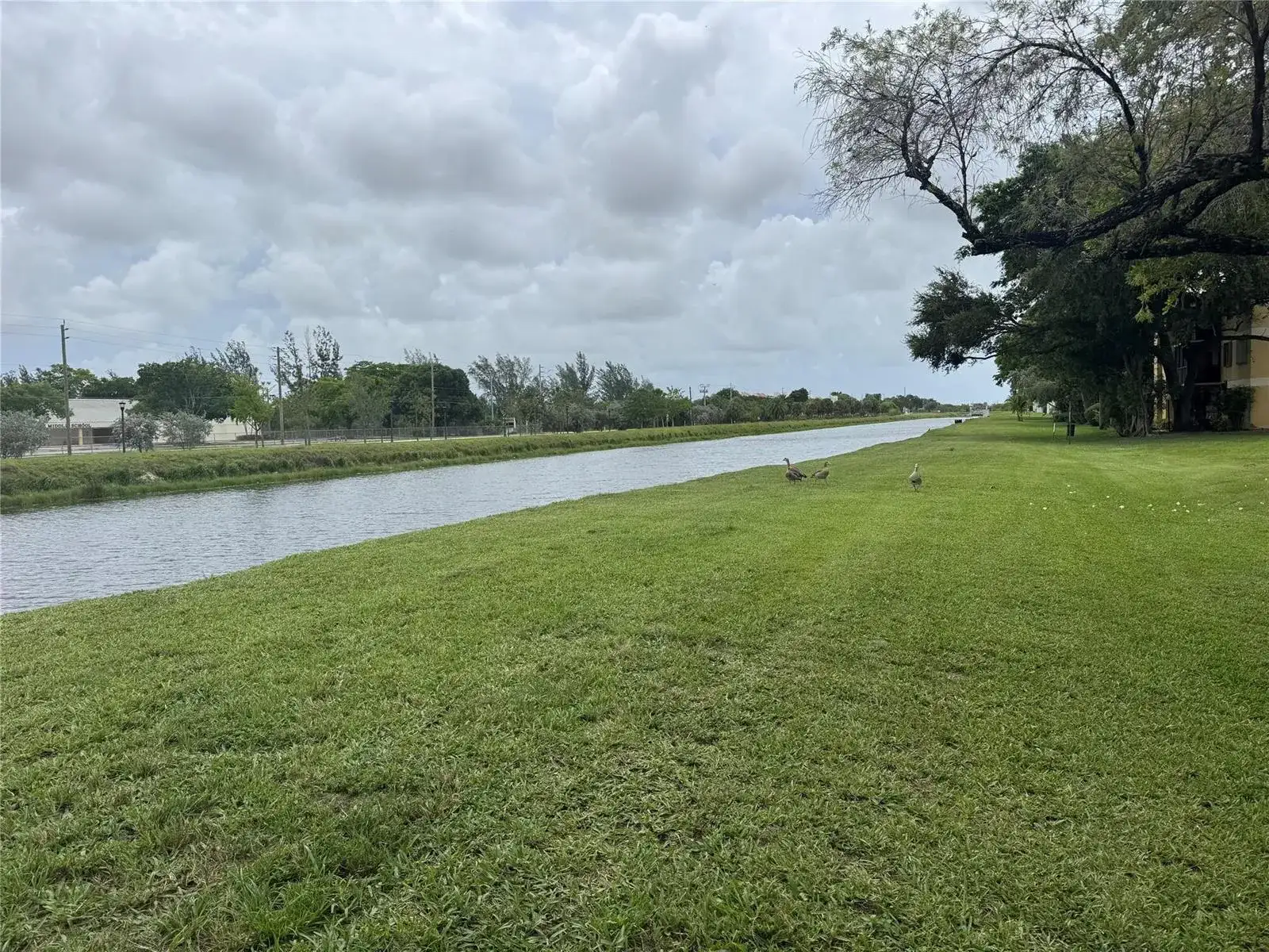 3013 N Oakland Forest Drive # 106, Oakland Park FL 33309 photo 5