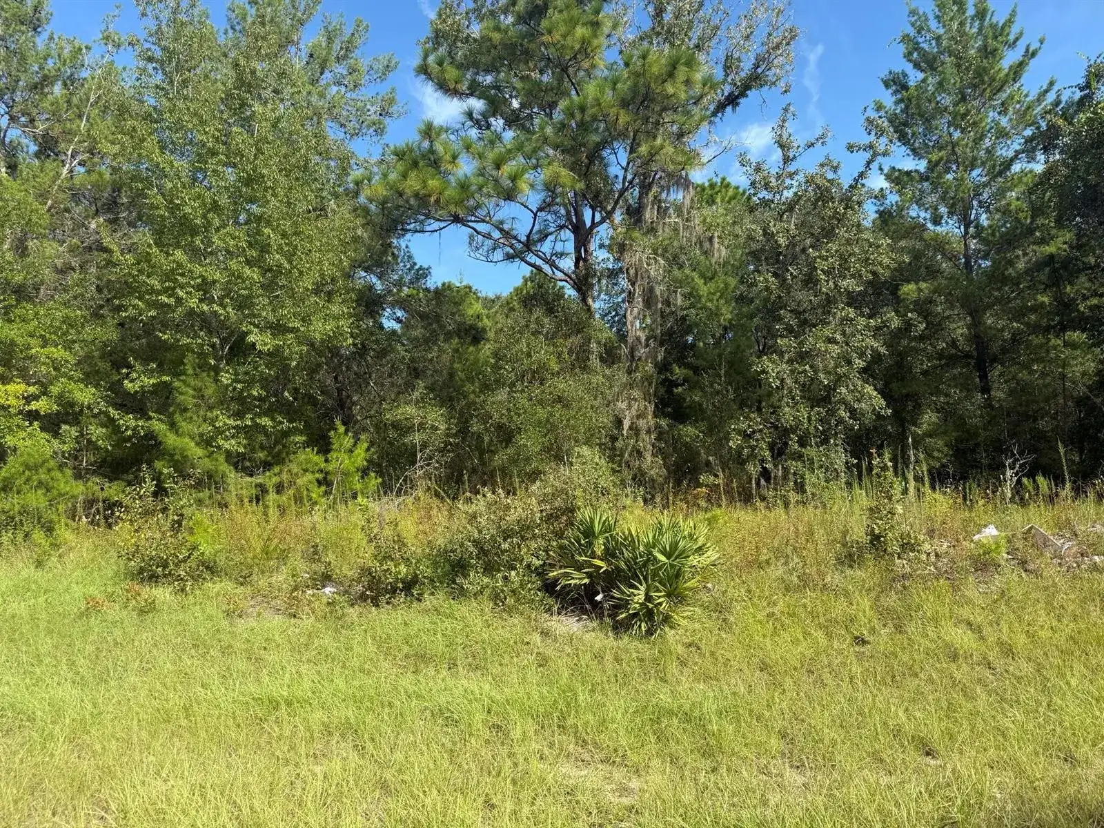 Tbd 79th terrace Road, FL 34432 photo 2