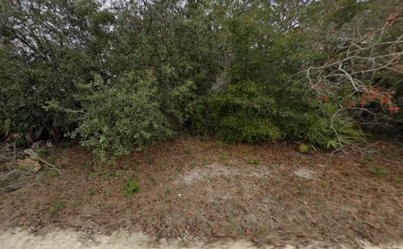 8343 Normandy Drive, FL 34613 photo 2