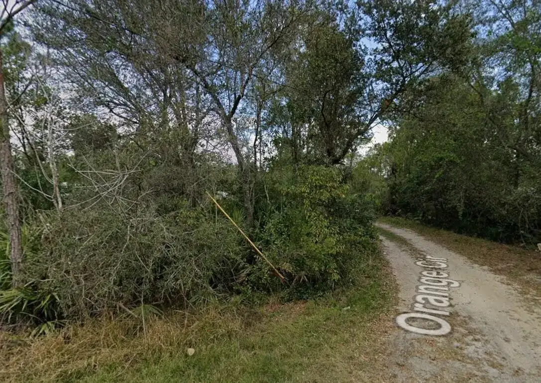 Tbd ORANGE, FL 32767 photo 3