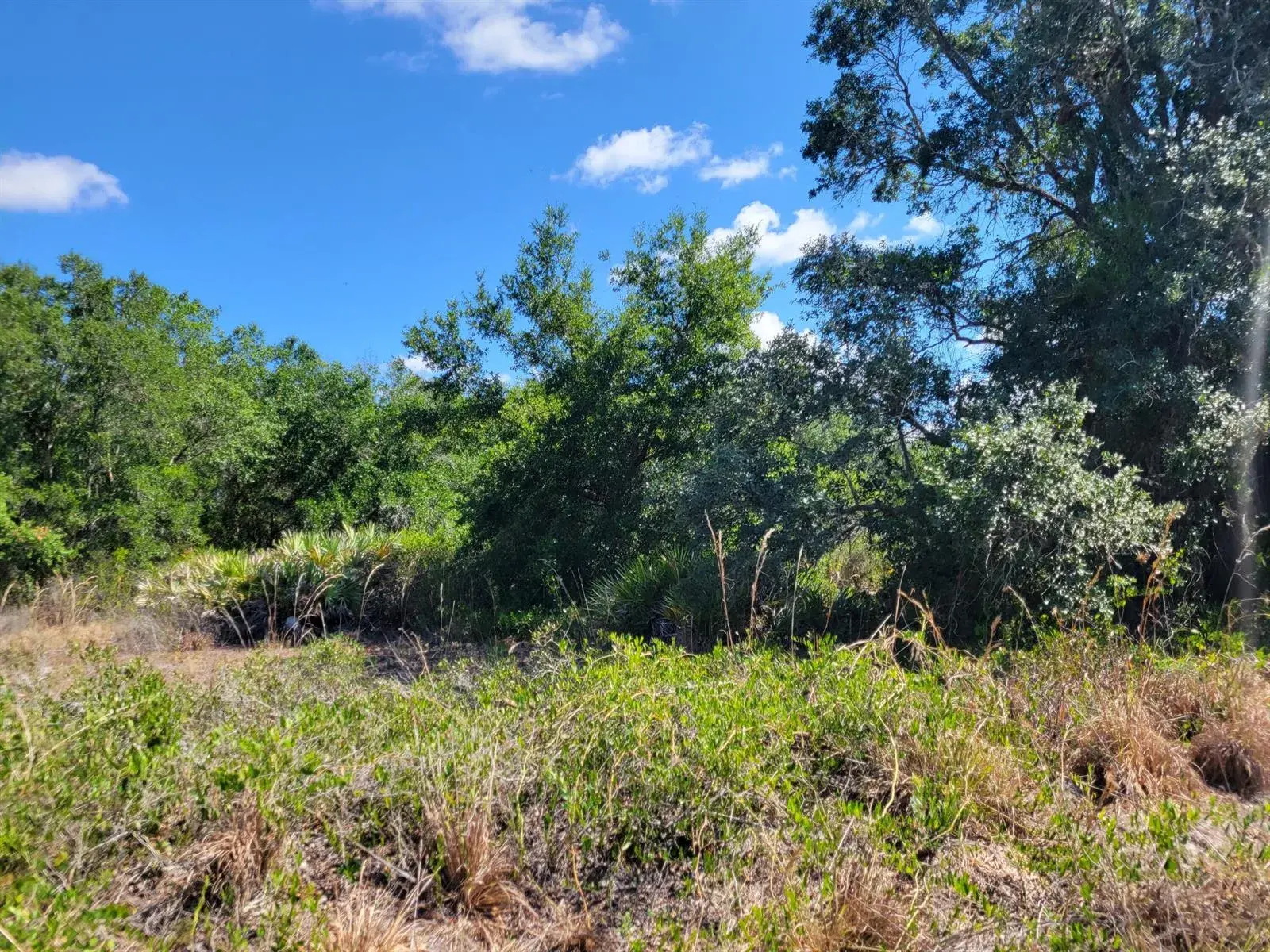 17591 NW 280TH Street, Okeechobee FL 34972