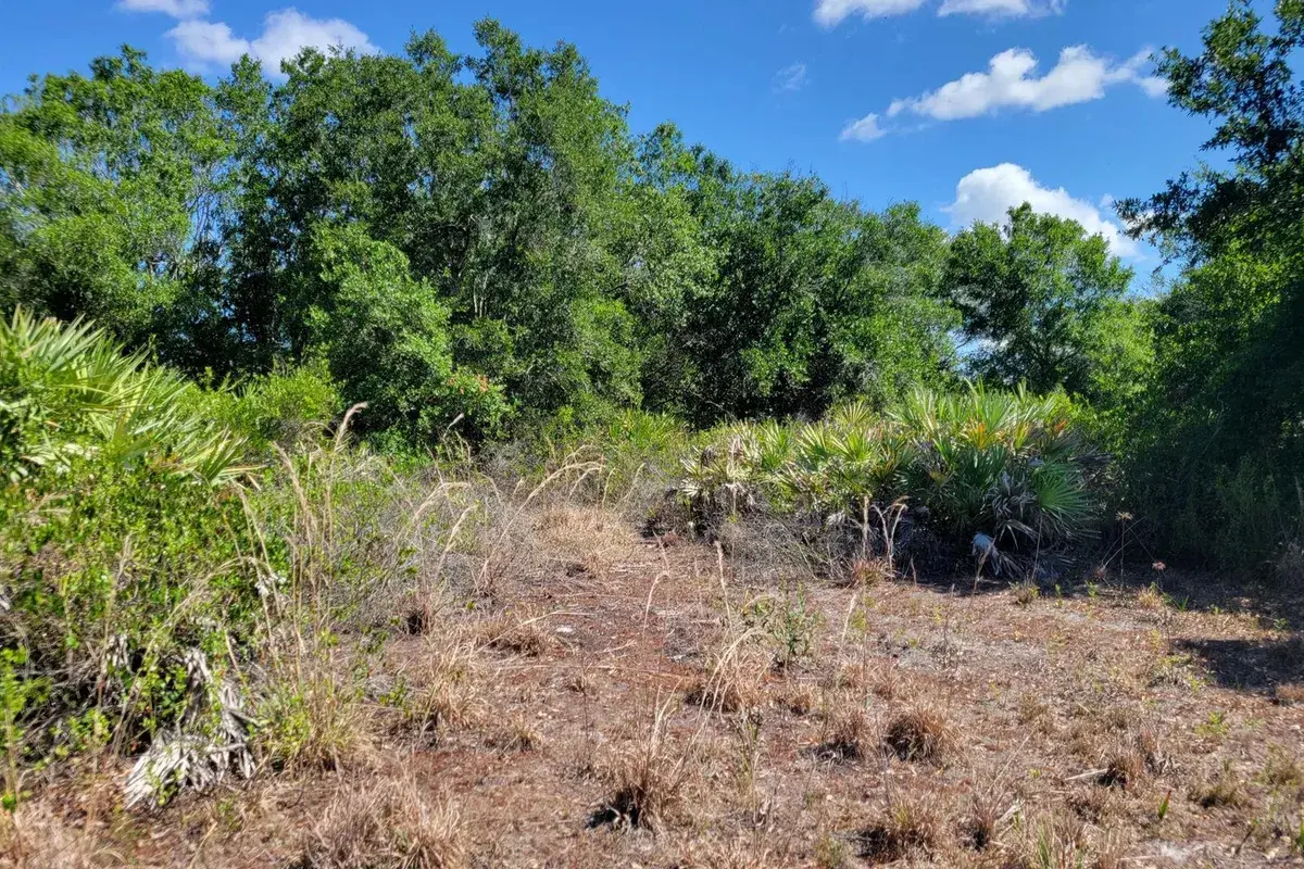 17591 NW 280TH Street, Okeechobee FL 34972
